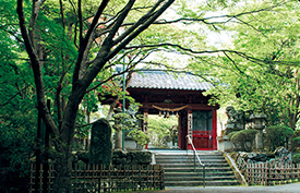 神峯山寺 仁王門