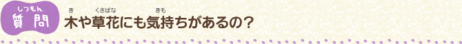 【質問】木（き）や草花（くさばな）にも気持（きも）ちがあるの？