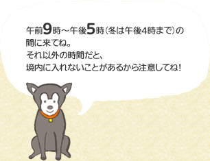 午前9時～午後5時（冬は午後4時まで）の間に来てね。それ以外の時間だと、境内に入れないことがあるから注意してね！