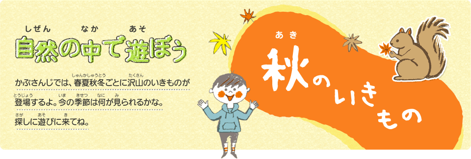自然（しぜん）の中（なか）で遊（あそ）ぼう　秋（あき）のいきもの
