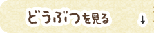 どうぶつを見る