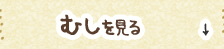 虫を見る